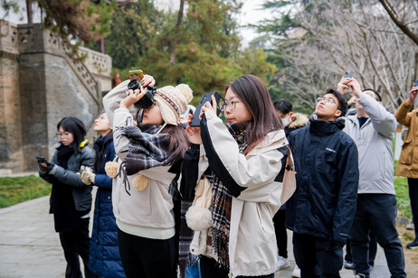 同学们用手机和相机记录沿途所见所闻，并以多元化方式呈现所学所思