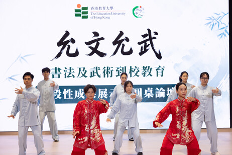武术训练成果展示