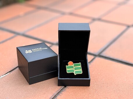Colour Magnetic Lapel Pin (Gold)