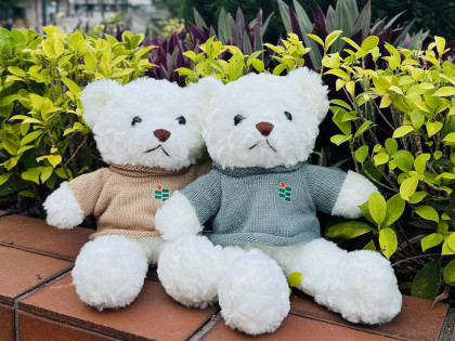 教大小熊（毛衣）