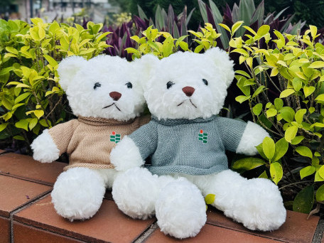 教大小熊（毛衣）