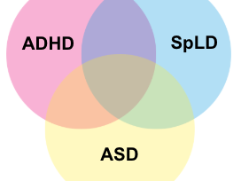 有特殊教育需要(SEN)